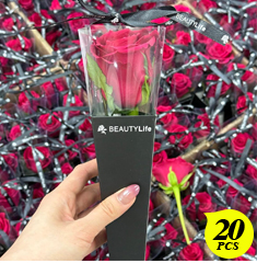 20枝紅玫瑰組合