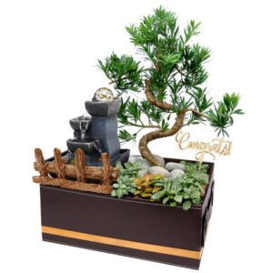 開張植物盆景配流水裝置禮物組合 OF004