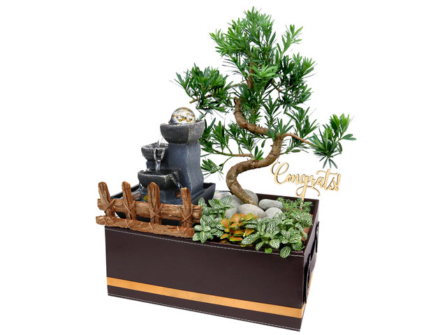 開張植物盆景配流水裝置禮物組合 OF004