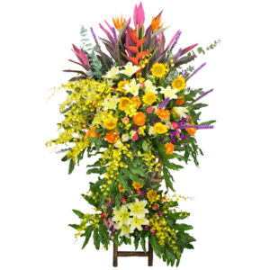 鮮艷花園開張花籃 OF012