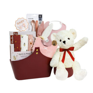 初生嬰兒BB禮物籃 BB007