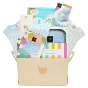 Newborn Joy Gift Hamper BB035