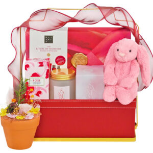 呵護肌膚護理禮物籃 FH269