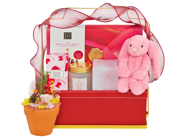 呵護肌膚護理禮物籃 FH269