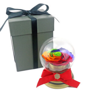 360°旋轉七彩玫瑰音樂球 M56