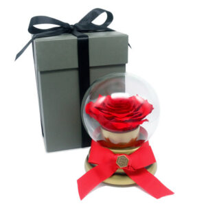 360°旋轉玫瑰音樂球 M57