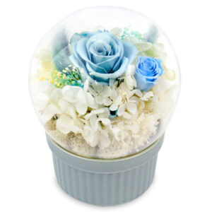 保鮮花玻璃音樂盒 M36