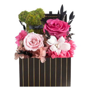 心意小熊花盒 M43