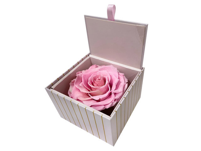 永生花花蕾花盒 M34