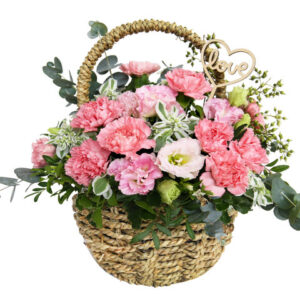 母親節花籃康乃馨小花籃 M02