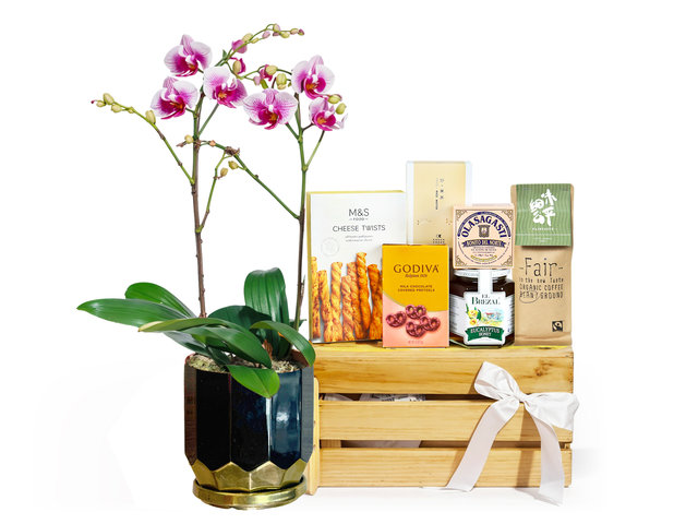 美食禮物連蘭花組合 BD010