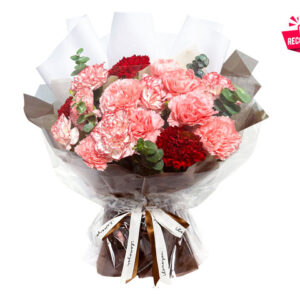 母親節16枝康乃馨花束 GZ10