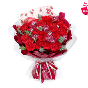 母親節19枝康乃馨花束 GZ11