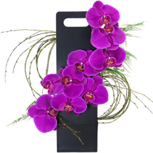 母親節禮物蝴蝶蘭擺設 Z1