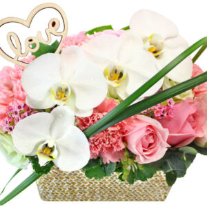 母親節花籃蘭花花籃 3