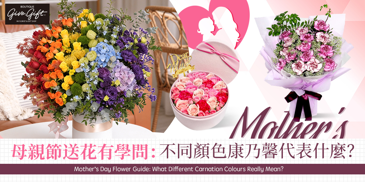 母親節送花有學問：不同顏色康乃馨代表什麼？