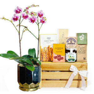 美食禮物連蘭花組合 BD010