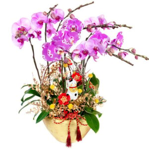 富貴招財開張蘭花8枝 LC01