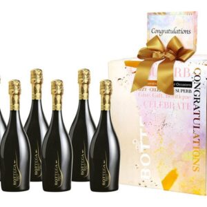 派對祝賀禮物組合-Bottega Millesimato Brut 750ml (原箱6支裝)