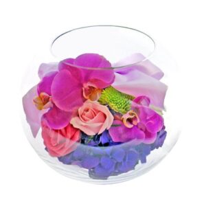 生日小樽花 H02