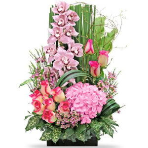 粉蕙蘭枱花 B6