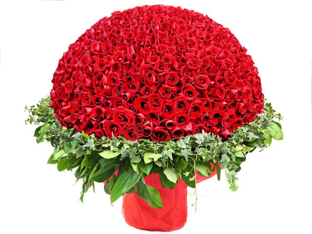 紅色的瑰麗(999玫瑰花束)