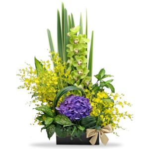 綠蕙蘭枱花 A19