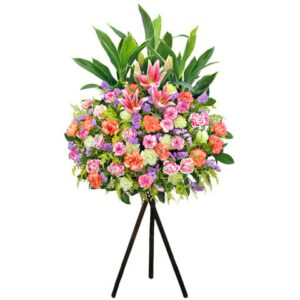 開張花籃 A15