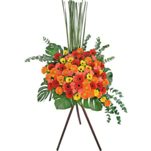 開張花籃 Z2