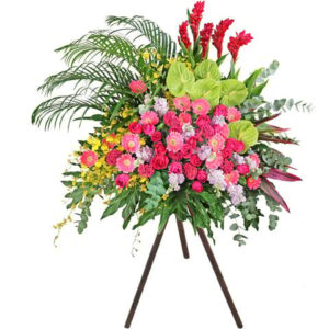 開張花籃 Z3