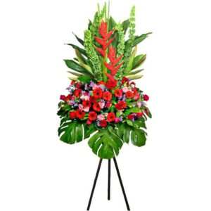點點紅花籃